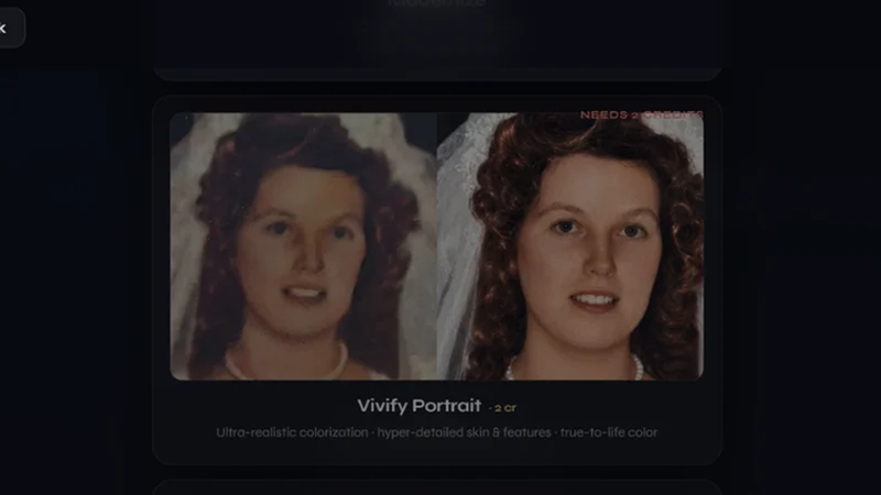 reframe vivify portrait improving facial details