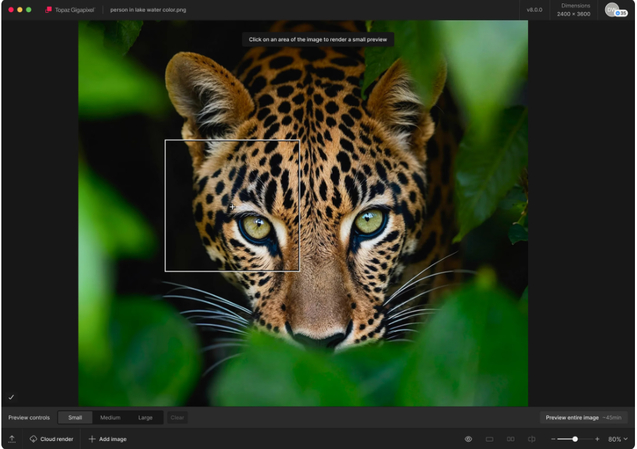 Topaz Gigapixel software interface displaying detailed portrait resolution recovery