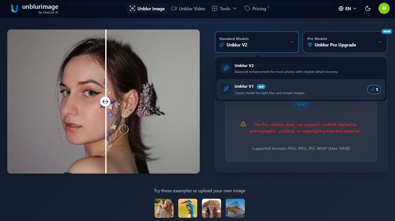 Choose image enhancement options in UnblurImage.AI