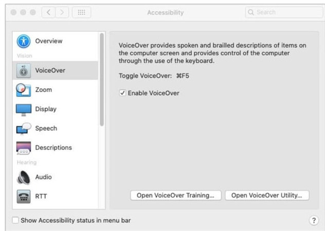 haz clic en la opción de voiceover