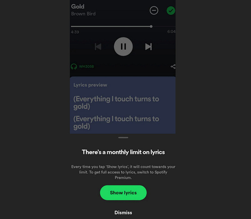 A Detailed Guide to Remove Spotify Lyrics Monthly Limit