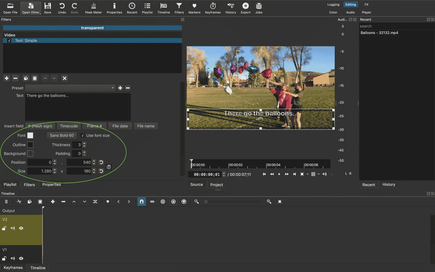 modify the subtitle appearance