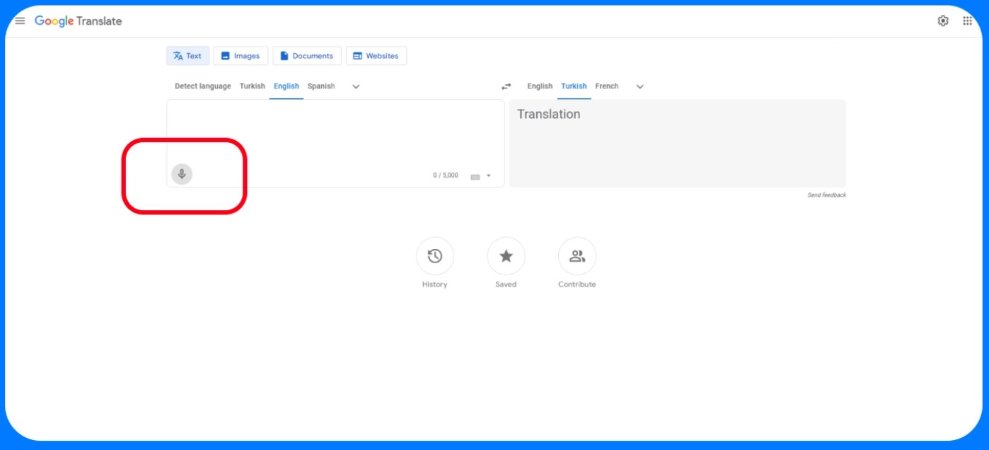 google translate translate audio website