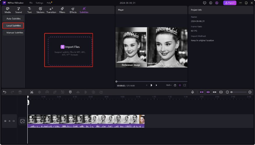 import local srt file