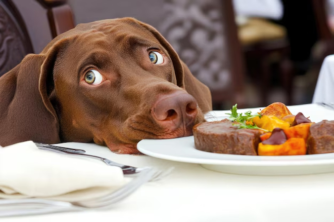 funny happy thanksgiving memes