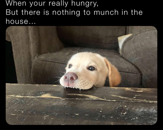 funny happy thanksgiving meme