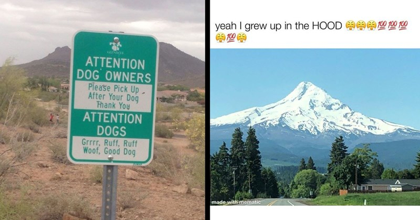 funny happy thanksgiving memes