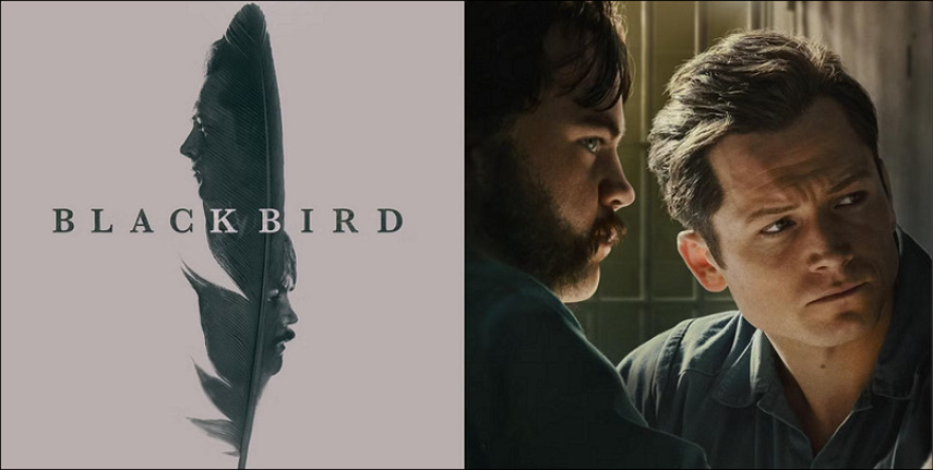 Black Bird