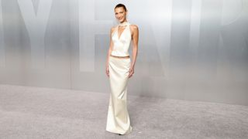 Oscars red carpet 2026