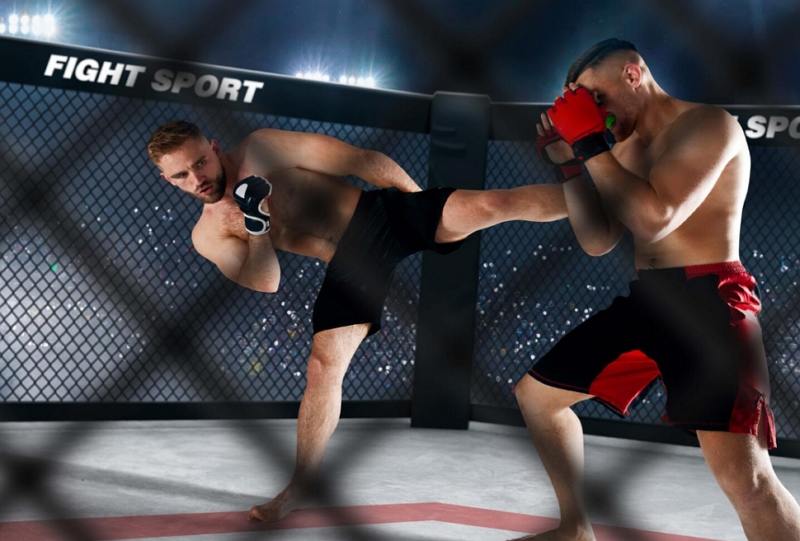 regras da ufc 2025