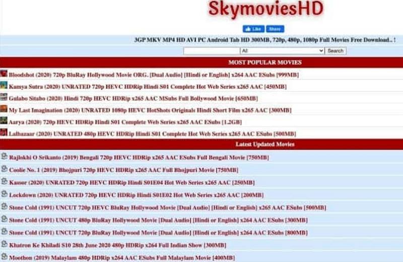 Best Torrent Sites for Hindi Movies in 2024 Downloading Guide