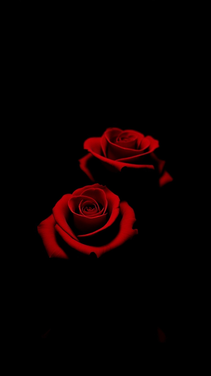 dark romance aesthetic moody red heart wallpaper for dark mode