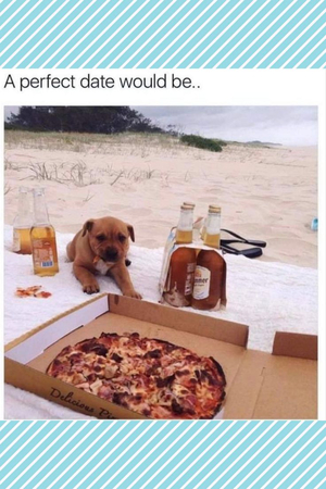 hilarious anti valentine's day meme