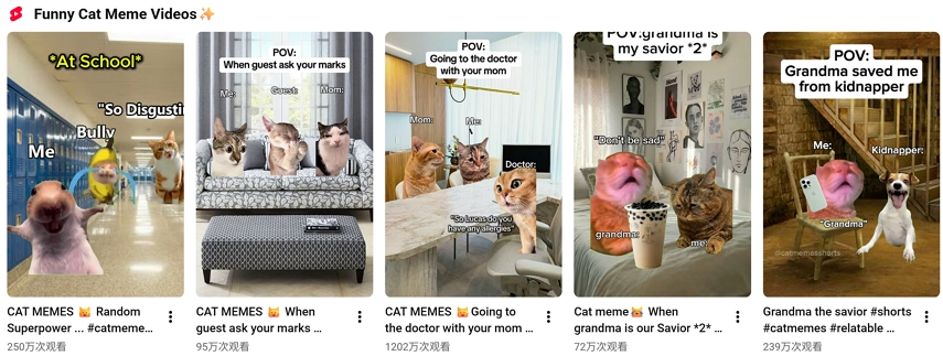 أفضل فيديوهات ميمز القطط الفيروسية في عام 2026