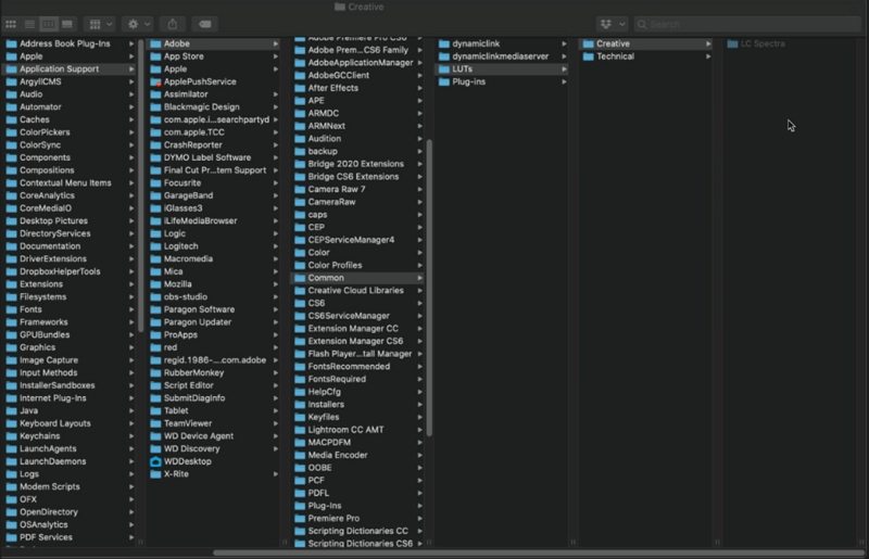 Benutzerdefinierte LUTs in den Adobe Systemordner verschieben Windows Mac