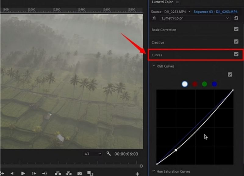 premiere färben Sie das video mit den kurven