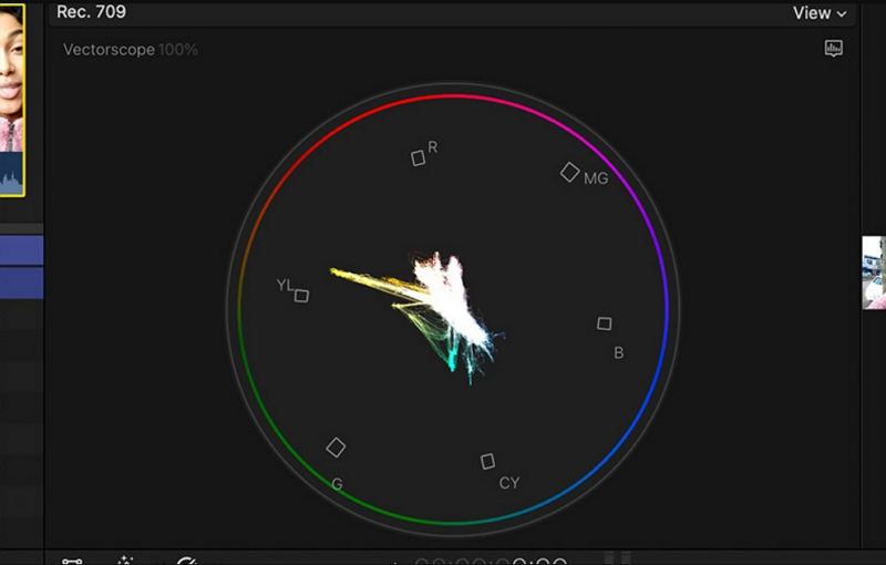 최종 컷 프로 벡터스코프