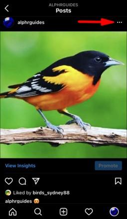 click on the three dots on Instagram post