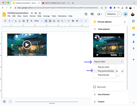 configure your video using the format options