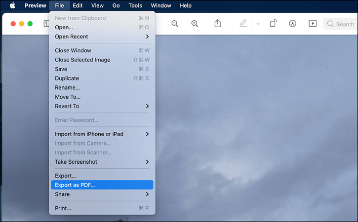 usando a ferramenta de visualização do mac para converter bmp para pdf