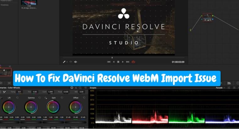 如何修正 DaVinci Resolve 的 WebM 匯入問題（2 種方法）