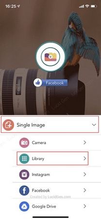 Füge Fotos hinzu, um ein Logo hinzuzufügen