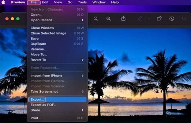 Click Export Button in Preview app on Mac