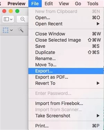 choose the export button