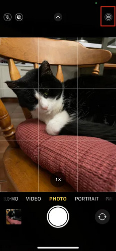 GIPHY에서 크리스마스 GIF 만들기