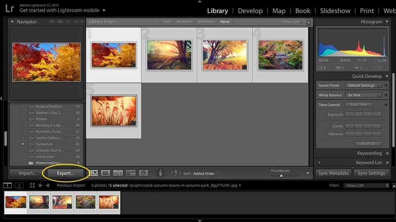 Ouvrir la boîte de dialogue d'exportation de Lightroom