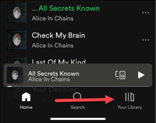 How to make your Spotify private