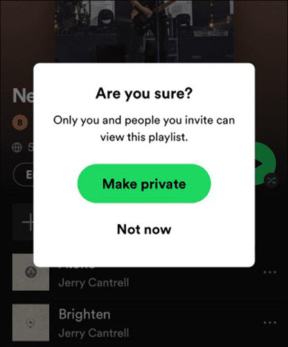 Complete Guide How To Make A Playlist Private On Spotify In 2022 8505