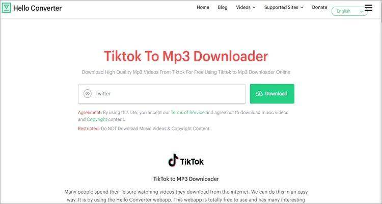 TikTok to MP3 Converter - Download TikTok Videos in MP3