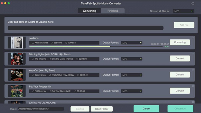 Tunefab Spotify Music Converter Not Working? Fixed!