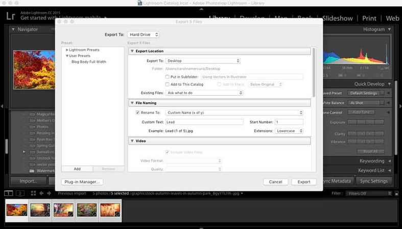 Activer la fonctionnalité de filigranage dans Lightroom