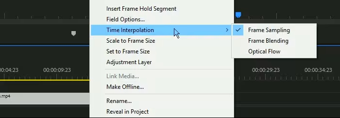 premiere pro frame interpoloation