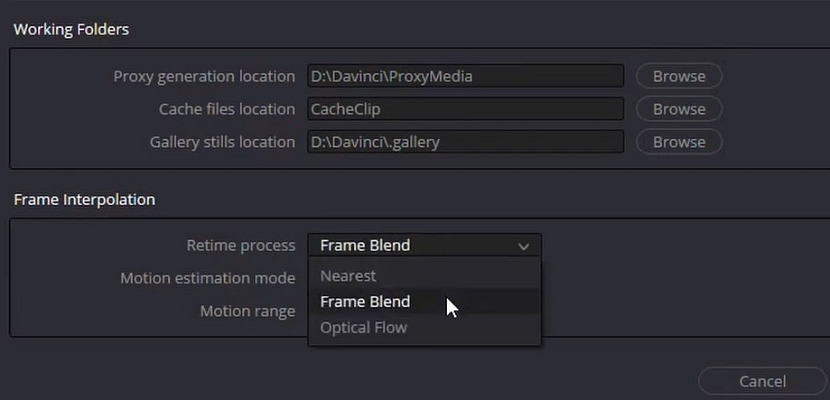 frame interpolation technique resolve