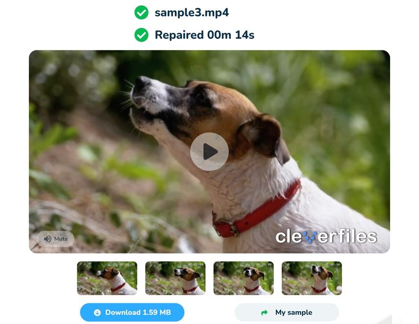 clever online video repair free