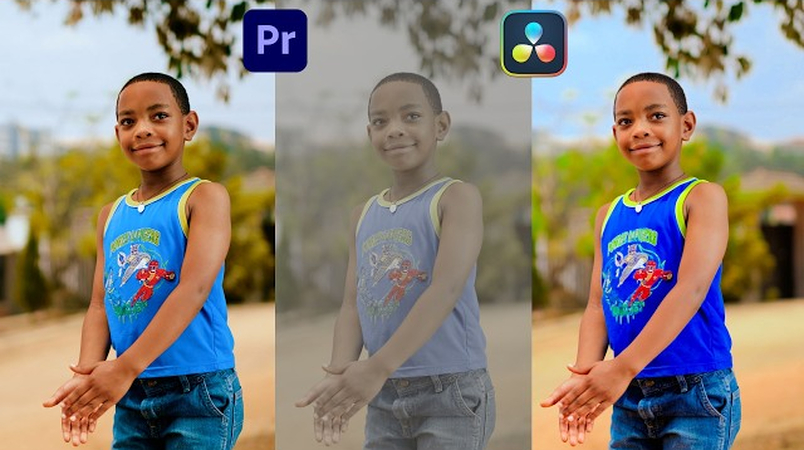 RAW footage color grading comparison between DaVinci Resolve and Premiere Pro
