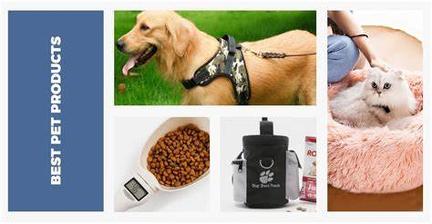 Essential Pet Supplies: Top Pet Store and Pet Shop Supplies