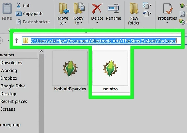 Packages 폴더에 파일 추출