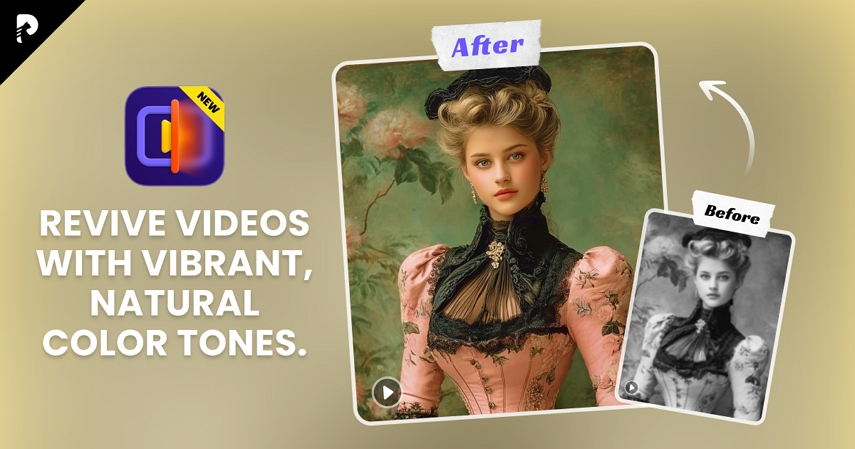 hitpaw vikpea colorize video