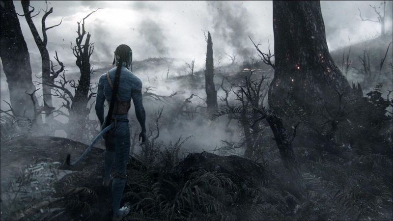 Dramatic moment of the Home Trees being destroyed