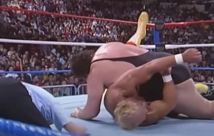 Hulk Hogan rarely lost matches in the WWF