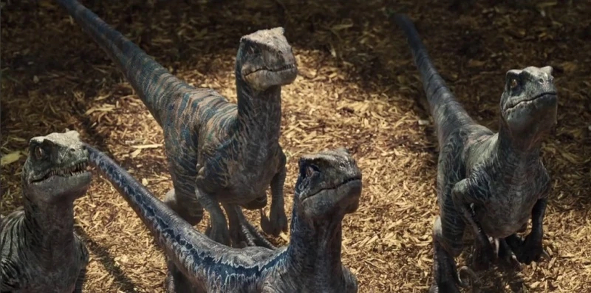 jurassic world rebirth velociraptoren