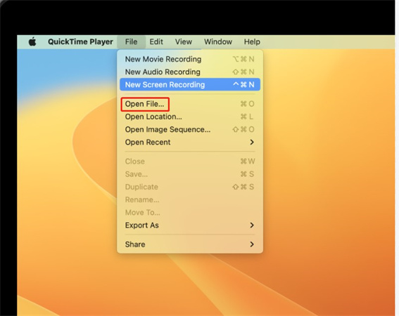 Riparazione del file MOV