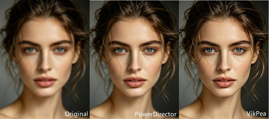 powerDirector video enhancer vs vikpea
