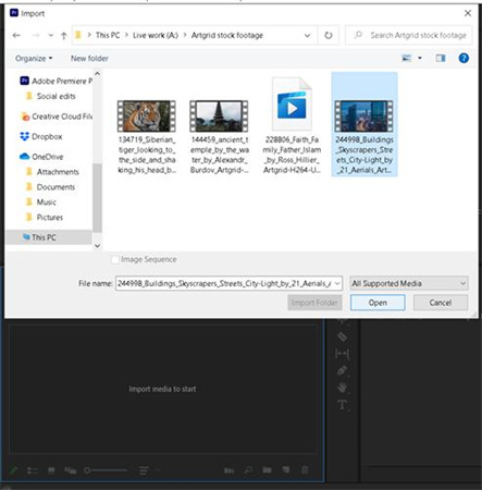 Ihr Video importieren Premiere Pro