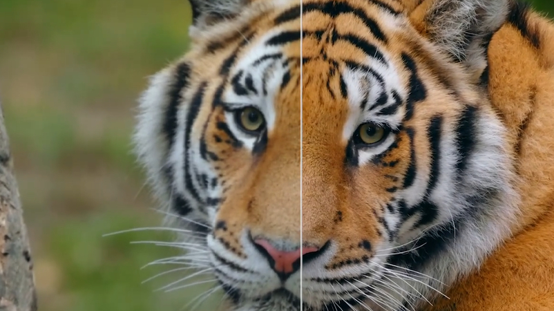 pros and cons of aiarty video enhancer