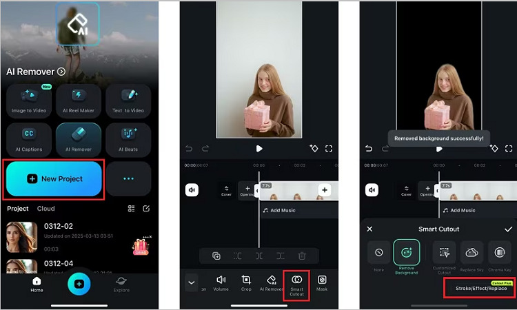 smart cutout removal inshot